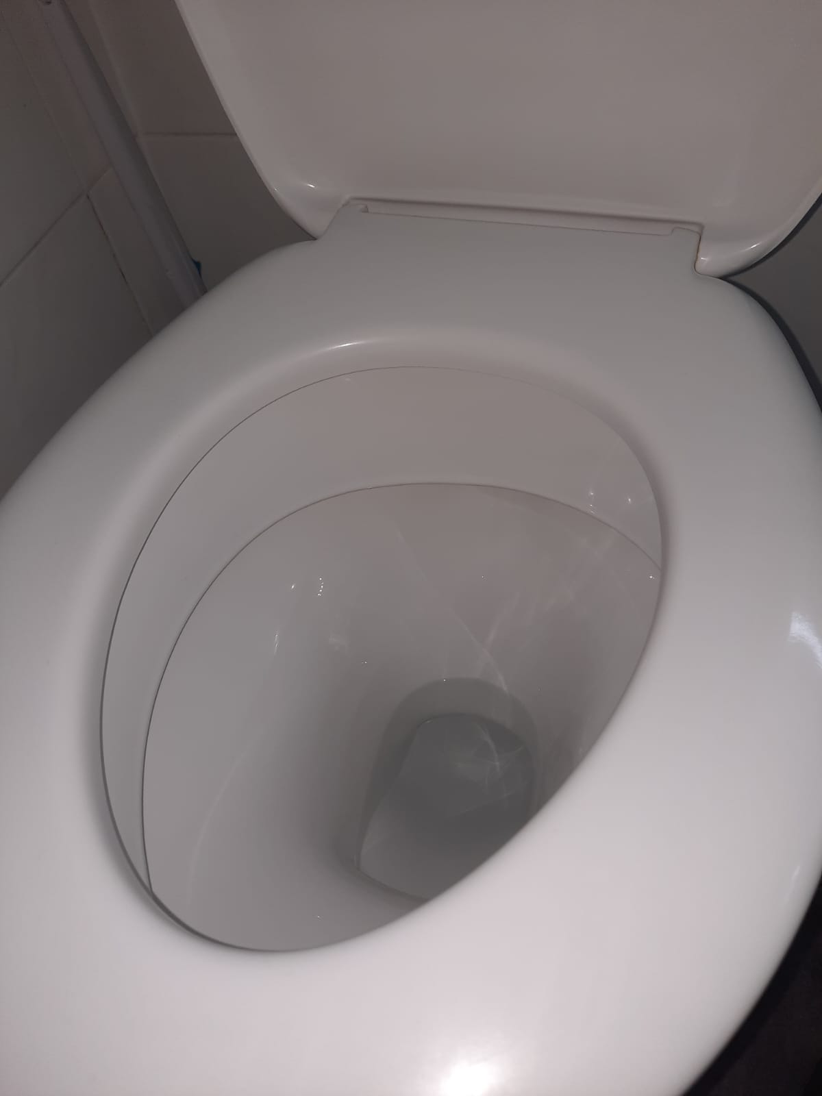 Toilet After